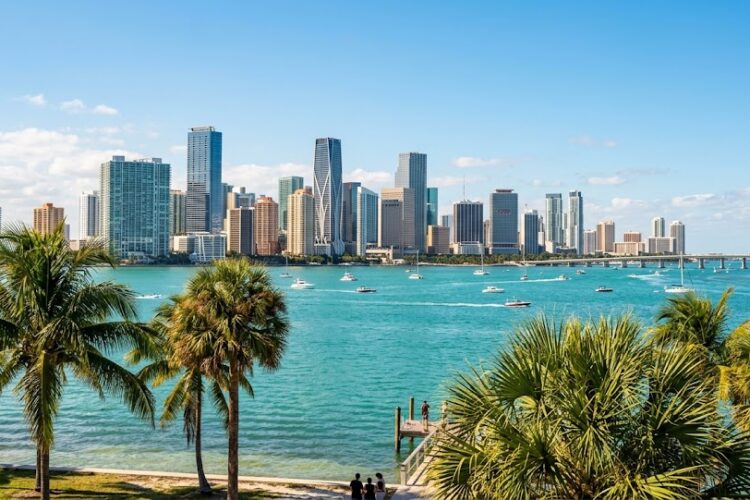 Licencia de Conducir en Miami